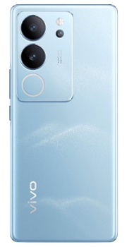 Vivo V29