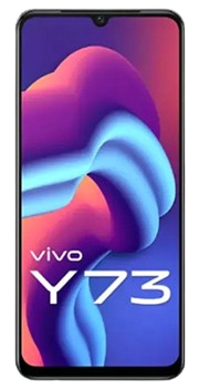 Vivo Y73